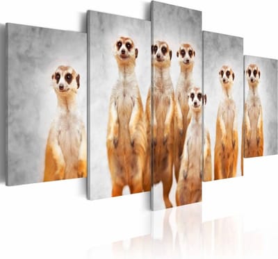 Schilderij - Stokstaartjes  , oranje wit , 5 luik