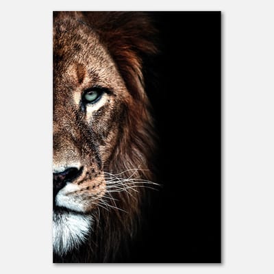 Poster op papier - 40 x 60 cm - Leeuw close-up portret in schaduw - PosterJunkie