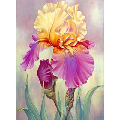 Peinture diamant 5D à faire soi-même, broderie artistique, décoration de maison, fleur, point de croix, cadeau 20X30CM bleu clair