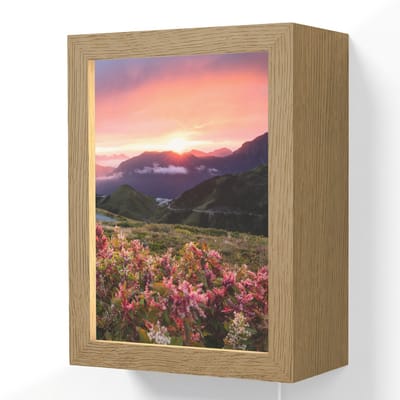 Wandlamp 15x20 cm - Oplaadbaar - Bloemen - Bergen - Landschap - Nacht - Lucht - Roze - Wandlampen binnen woonkamer - Slaapkamer lamp met kabel - Decoratieve nachtlamp - Vloerlamp snoer