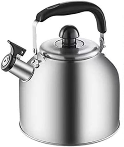Waterkoker Roestvrij Staal - Theeketel Fluitketel - Water Koken - Automatisch Fluitapparaat - 4L - Zilverkleurig