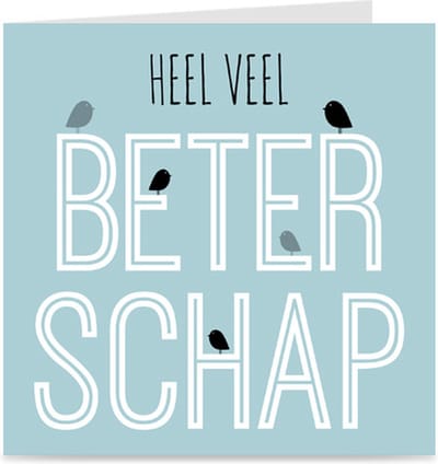 HEEL VEEL BETERSCHAP | kaart / wenskaart met envelop | vogeltjes