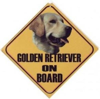 Autobordje Golden Retriever
