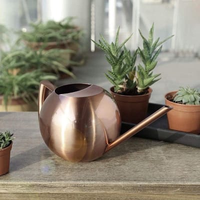 Gieter met 1L Capaciteit voor Potplanten en Bloemen, Roestvrijstalen Gieter met Lange Mond en Strooi Pot
