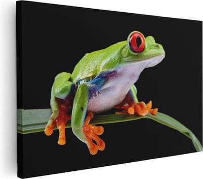 Artaza Canvas Schilderij Dieren - 30x20 cm - Klein - Wanddecoratie Kikker - Muurdecoratie Jungle - Kamer Accessoires
