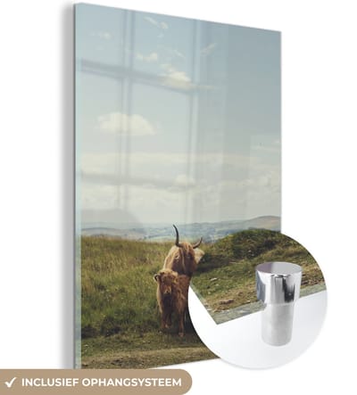 MuchoWow® Glasschilderij 120x160 cm - Schilderij acrylglas - Schotse Hooglanders - Gras - Wolken - Dieren - Foto op glas - Schilderijen