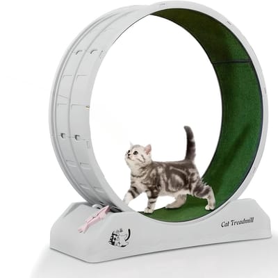 BlueTime - Loopwiel Kat - Katten Loopwiel - Nu inclusief kattenrugzak! - Looprad Kat - Kattenspeelgoed - Katten Speelgoed - Krabpaal - Katten Wiel - Katten