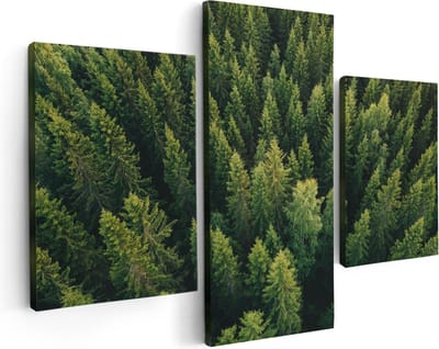 Artaza Canvas Schilderij Drieluik Bos Met Bomen Vanaf Boven - 90x60 - Foto Op Canvas - Canvas Print