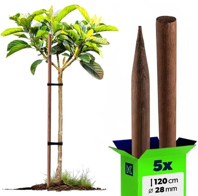KADAX Klimhulp van hout, geïmpregneerde plantenstokken, klimplantenstaaf, weerbestendige klimstang, bloemenstaaf, rankrooster, houten palen, 5, 28 x 120 cm