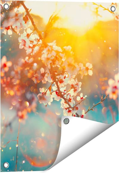 Gards Tuinposter Bloesemboom tijdens Zonsondergang - Bloem - 40x50 cm - Tuindoek - Tuindecoratie - Wanddecoratie buiten - Tuinschilderij