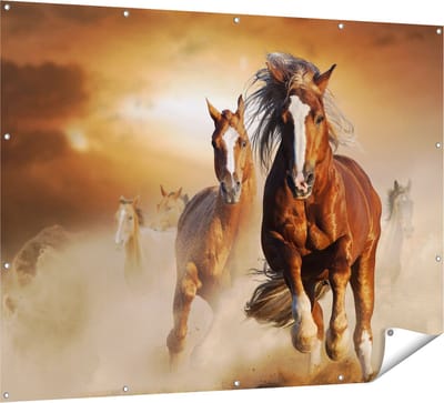 Gards Tuinposter Wilde Paarden in het Zand - 160x120 cm - Tuindoek - Tuindecoratie - Wanddecoratie buiten - Tuinschilderij
