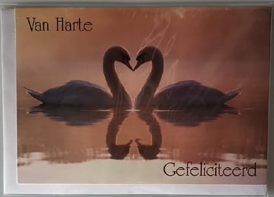 Van harte gefeliciteerd met je verjaardag! Een leuke kaart met twee zwanen in het water die naar elkaar kijken en in spiegelbeeld te zien zijn. Een dubbele wenskaart inclusief envelop en in folie verpakt.
