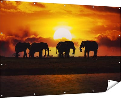 Gards Tuinposter Silhouet Olifanten tijdens Zonsondergang - 180x120 cm - Tuindoek - Tuindecoratie - Wanddecoratie buiten - Tuinschilderij