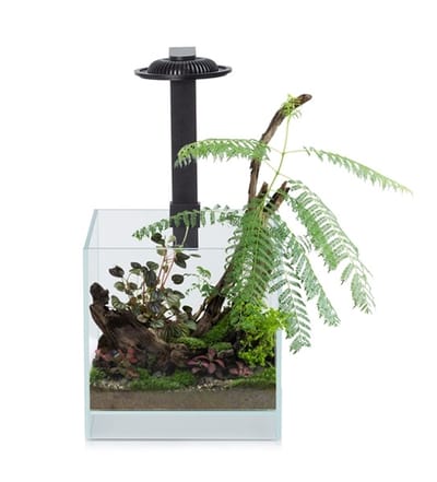 Wabi Kusa Bio Air Tank zwart 20 x 20 x 20 cm met LED plantenterrarium