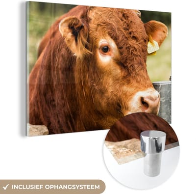 MuchoWow® Glasschilderij 150x100 cm - Schilderij acrylglas - Schotse Hooglander - Berg - Hek - Foto op glas - Schilderijen