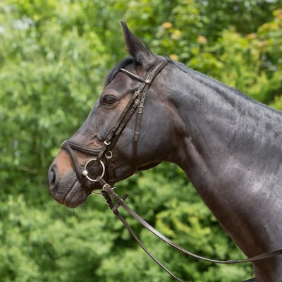 Gecombineerd hoofdstel met neusriem Kieffer Ultrasoft® Tara
