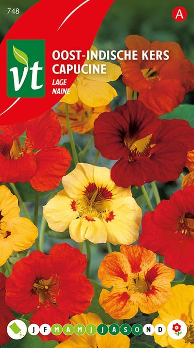 Oost-Indische Lage Kers Zaden - Makkelijk te Kweken met Eetbare Bloemen en Bladeren