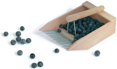 Keim Blauwe bosbessenplukker