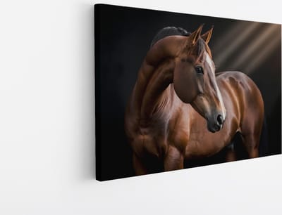 Saammp Canvas Schilderij - Paard in zonlicht - Dieren - Natuur - 45x30 - Foto op canvas - Wanddecoratie - muurdecoratie Woonkamer - Slaapkamer decoratie - Canvas Print