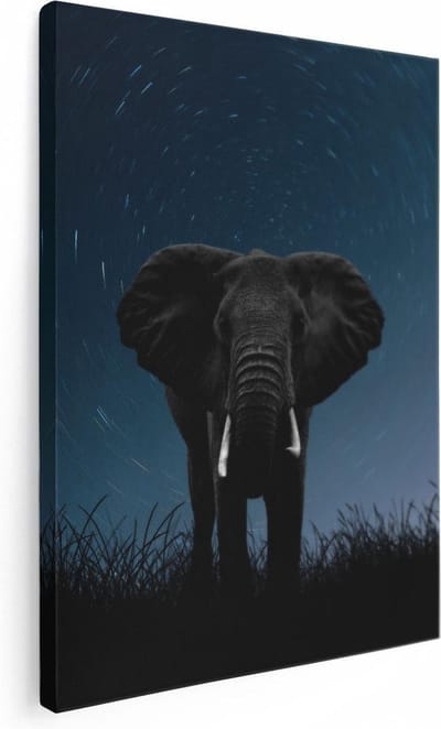 Artaza Canvas Schilderij Dierenkop Olifant - 30x40 cm - Klein - Muurdecoratie Wilde Dieren - Wanddecoratie Woonkamer - Kamer Accessoires Sterrenhemel