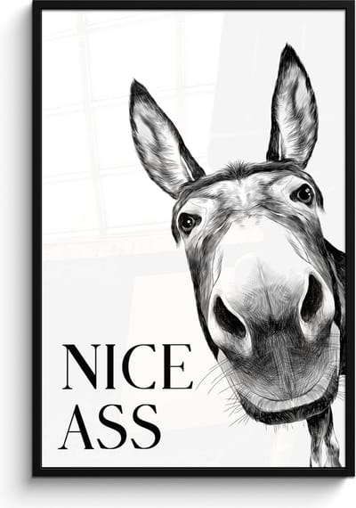 Poster in lijst - Fotolijst 80x120 cm - Posters - Quote - Ezel - Dieren - Nice ass - Spreuken - Posterlijst zwart - Wanddecoratie badkamer - Muurdecoratie WC - Decoratieve accessoires - Toilet muur decoratie