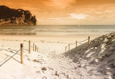 Fotobehang Beach Path Nature Sea SandCliff | XL - 208cm x 146cm | 130g/m2 Vlies