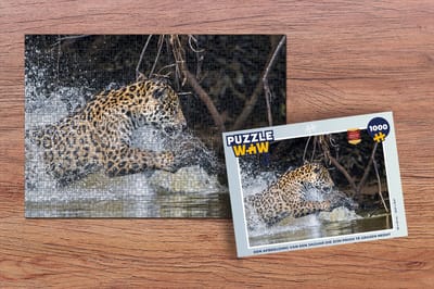 Puzzel Jaguar - Jacht - Prooi - Legpuzzel - Puzzel 1000 stukjes volwassenen
