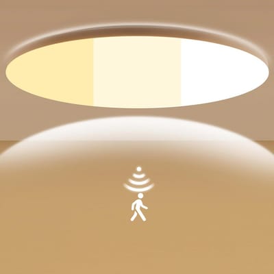 Dimbare LED Plafondlamp met Bewegingsmelder en Instelbare Kleurtemperatuur voor Binnen en Buiten