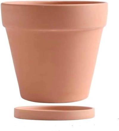 Terracotta Bloempotten - Plantenbakken Binnen Buiten - Planten Kweken - Met Drainagegat en Schotel - 10 cm - Roodbruin