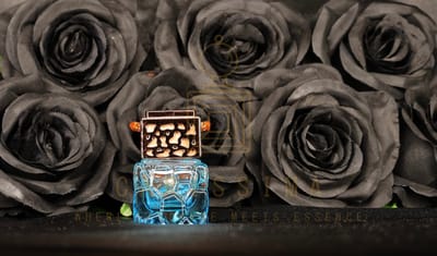 Carissima Car Perfumes - Auto parfum - 'Alien' - Luxe - Auto Luchtverfrisser - 10ml - Lichtblauw - Arabische Jasmijn - Cashmeran - Amber