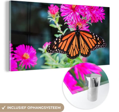 MuchoWow® Glasschilderij 40x20 cm - Schilderij acrylglas - Vlinder - Botanisch - Bloemen - Foto op glas - Schilderijen