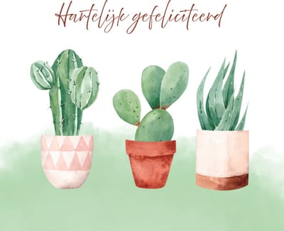 Wenskaart hartelijk gefeliciteerd drie cactussen pot – 13x13 cm – gevouwen kaart – inclusief witte envelop – stevig papier – felicitatiekaart