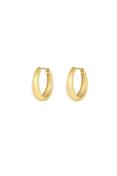 Goudkleurige Classy Hoop Oorbellen - Kleine Oorring - RVS - Nikkelvrij - Kerst