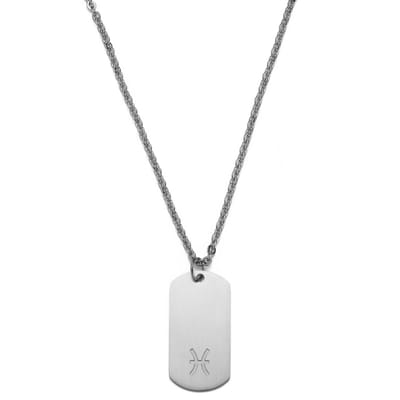 Zilverkleurige Stalen Ketting met Sterrenbeeld Vissen