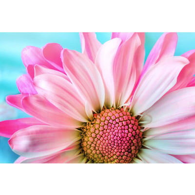Volledige ronde boor 5D DIY Diamond schilderij roze bloemen diamant borduurwerk kruissteek 20X30CM pink