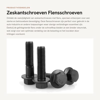 Dailygoods- Zeskantschroeven met flens - Gelegeerd Staal - M6 x 50 mm - 4 Stuks - Corrosiebestendig - Hoge Treksterkte - Flensbouten
