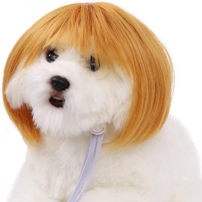 Grappige huisdierpruik Glad glanzend antislip met elastische band steil haar kat Halloween Kerstmisfeest cosplay hoofdtooi foto prop hond kat pruik pack-1 oranje