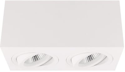 Yphix Palermo Opbouwspot - Vierkant - 2 Lichtpunten - Kantelbaar - 173x90mm - Wit