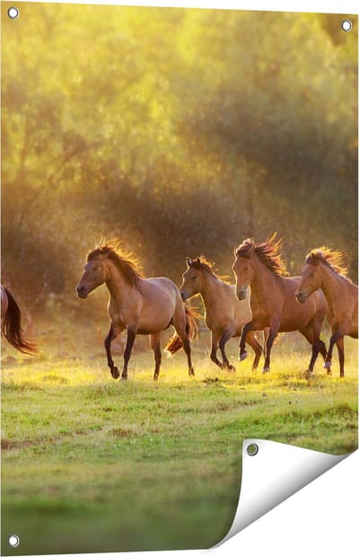 Gards Tuinposter Kudde Bruine Paarden in de Wei - 60x80 cm - Tuindoek - Tuindecoratie - Wanddecoratie buiten - Tuinschilderij