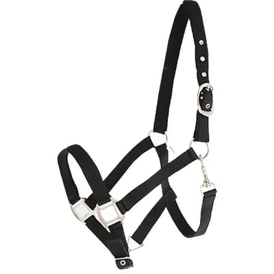 Nylon gevoerd paardenhalster Canter