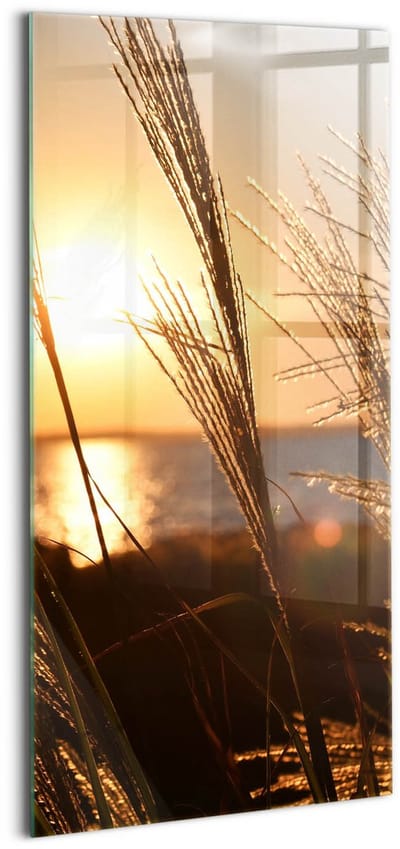 Wallfluent Glasschilderij - Tarwe in het gouden uur Glazen Schilderij - 50x100 cm - Bruin Verticale Muurschildering - Natuur Foto Glas - Schilderij Op Glas - Glas Schilderij