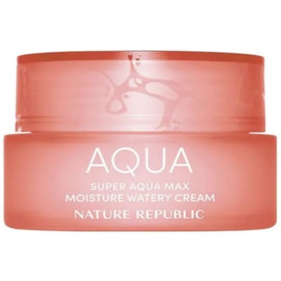 NATURE REPUBLIC Super Aqua Max Hydratatiecrème (3 soorten beschikbaar) 02.Dry Skin Type beige