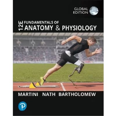 Fundamentals Of Anatomy And Physiology, Global Edition - Frederic Martini