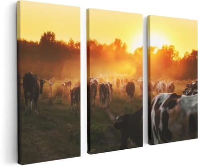 Artaza Canvas Schilderij Drieluik Kudde Koeien In Weiland Bij Zonsondergang - 120x80 - Foto Op Canvas - Canvas Print