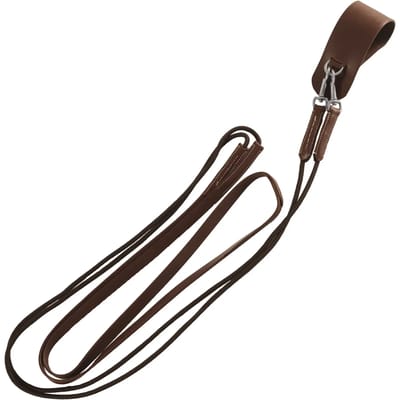 Duitse teugels leder Canter