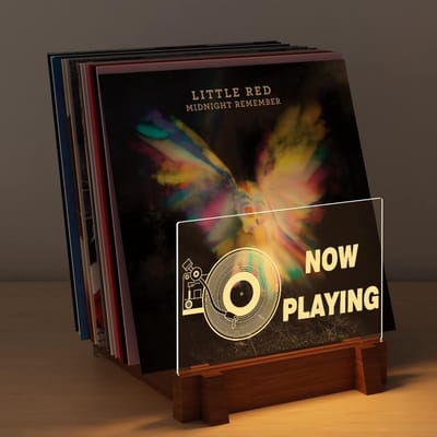 Lexium LP Opbergsysteem - Vinyl Opberg Systeem – LP houde - LP Kast - Platenrek – LP Rek – Platenhouder - Vinyl Rek