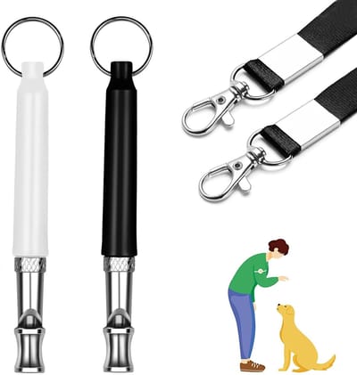 Dailygoods- Hondenfluitje Ultrasoon - Hondentrainingsfluitje - Luid Geluid - Lang Bereik - 2 Koorden - Verbeterde Communicatie - Fluitje
