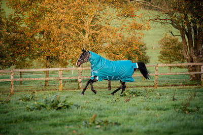 Horseware Deken Amigo Bravo 1200d Plus 400gr Groen - 140/191