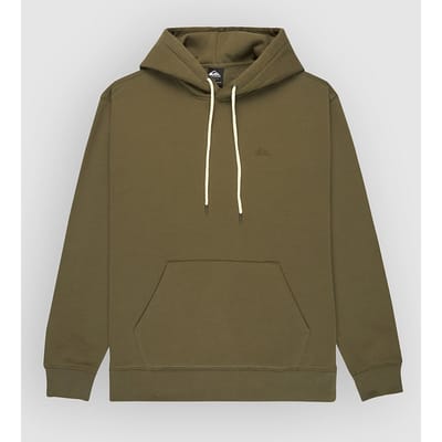Quiksilver Salt Water Hoodie Groen M Man