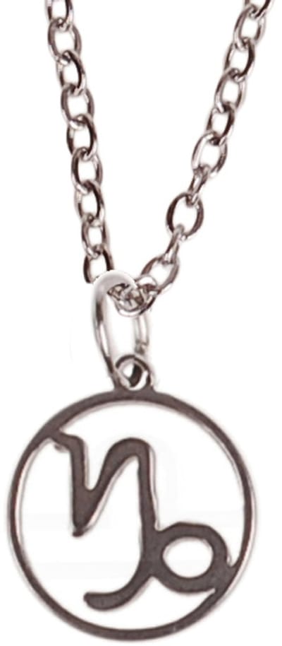 Ketting Zilverkleurig 55cm - Hangertje Sterrenbeeld RVS - Steenbok